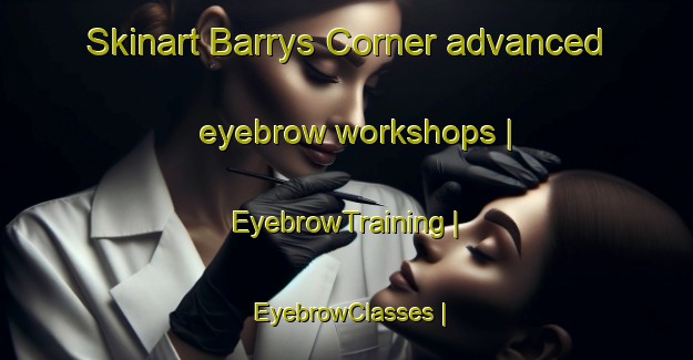 Skinart Barrys Corner advanced eyebrow workshops | EyebrowTraining | EyebrowClasses | SkinartTraining-Canada